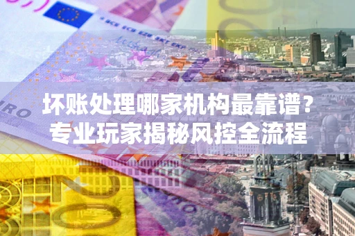 武汉坏账处理哪家机构最靠谱？专业玩家揭秘风控全流程
