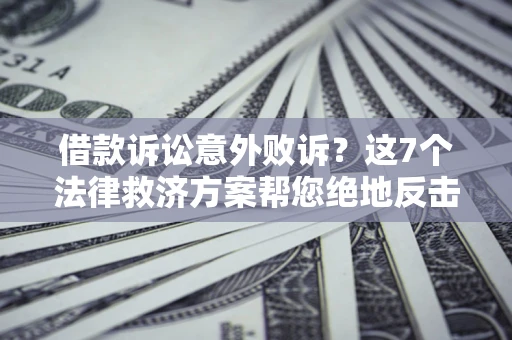 武汉借款诉讼意外败诉？这7个法律救济方案帮您绝地反击！