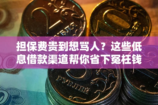 武汉担保费贵到想骂人？这些低息借款渠道帮你省下冤枉钱