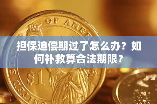武汉担保追偿期过了怎么办？如何补救算合法期限？