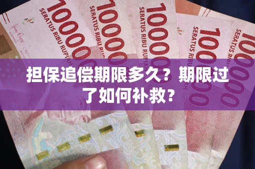 武汉担保追偿期限多久？期限过了如何补救？