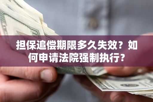 武汉担保追偿期限多久失效？如何申请法院强制执行？
