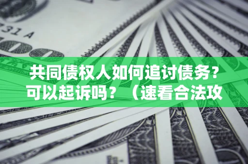 武汉共同债权人如何追讨债务？可以起诉吗？（速看合法攻略）