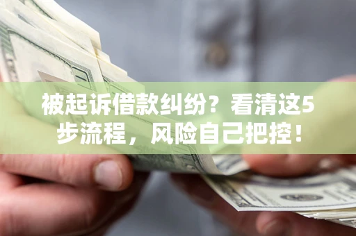 武汉被起诉借款纠纷？看清这5步流程，风险自己把控！