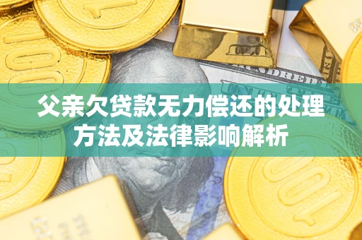 武汉父亲欠贷款无力偿还的处理方法及法律影响解析