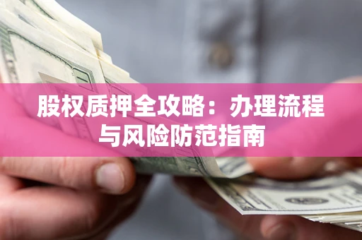 武汉股权质押全攻略：办理流程与风险防范指南